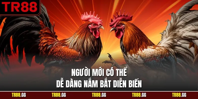 Người mới có thể dễ dàng nắm bắt diễn biến